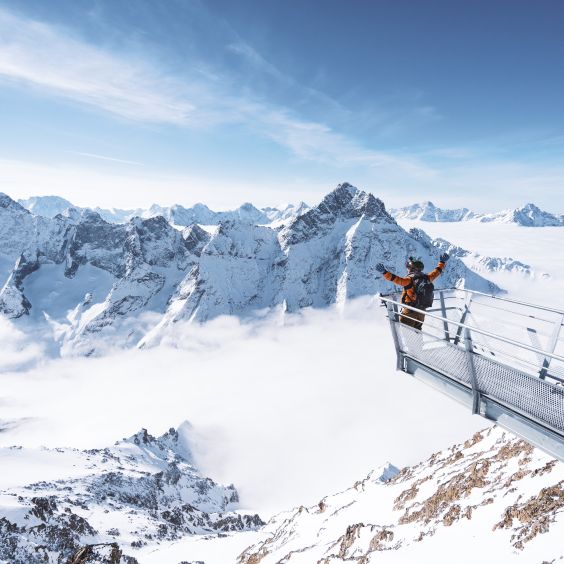 Skier on top of the world
