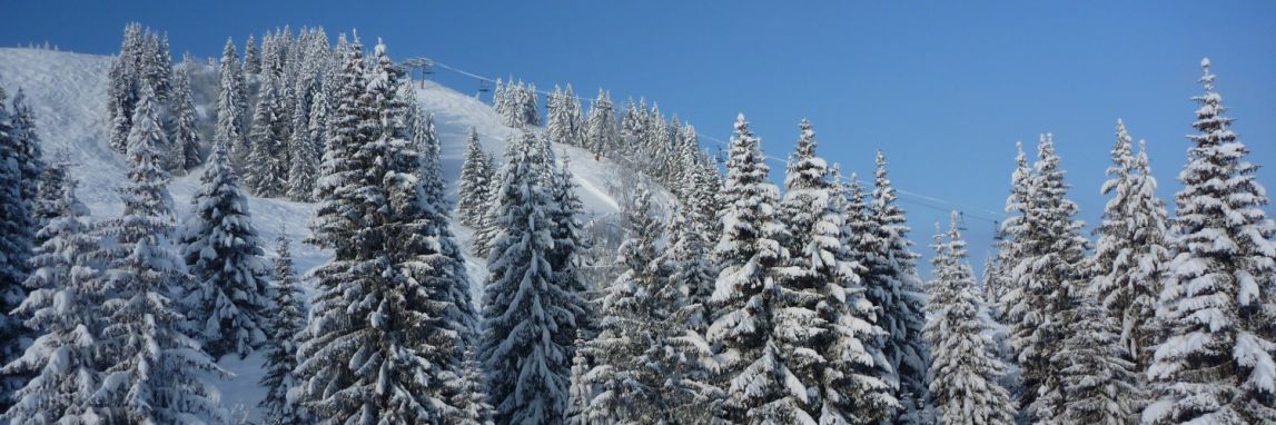 Snow covered trees on the mountains in a beautiful place to ski solo