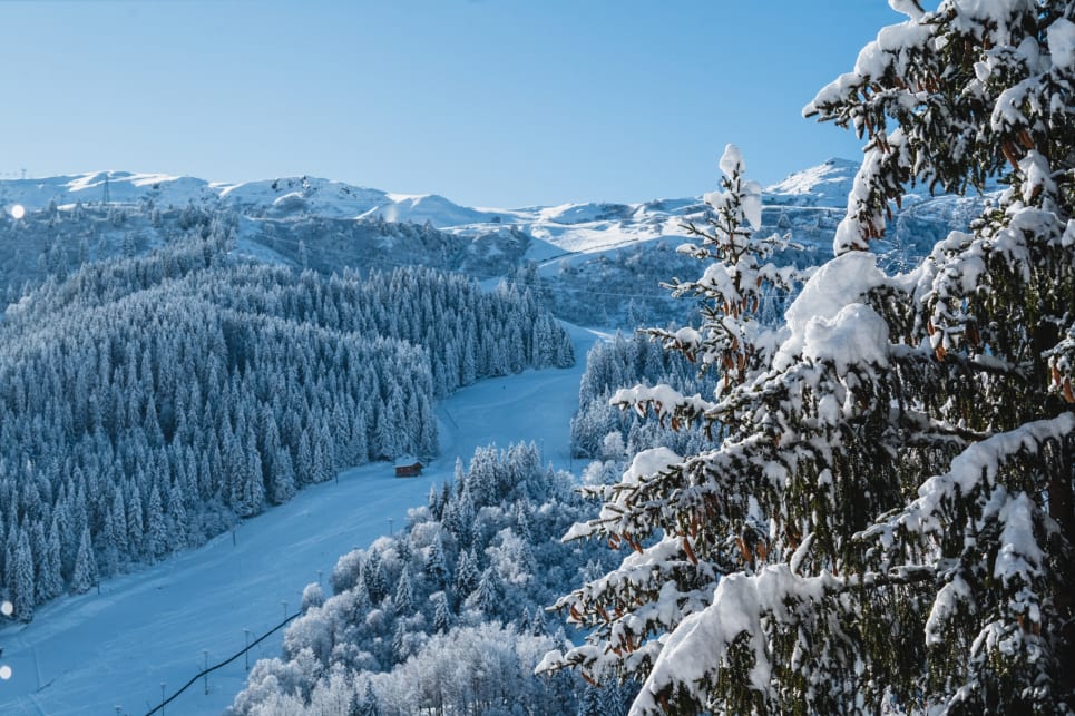 The view from Chalet Les Loups