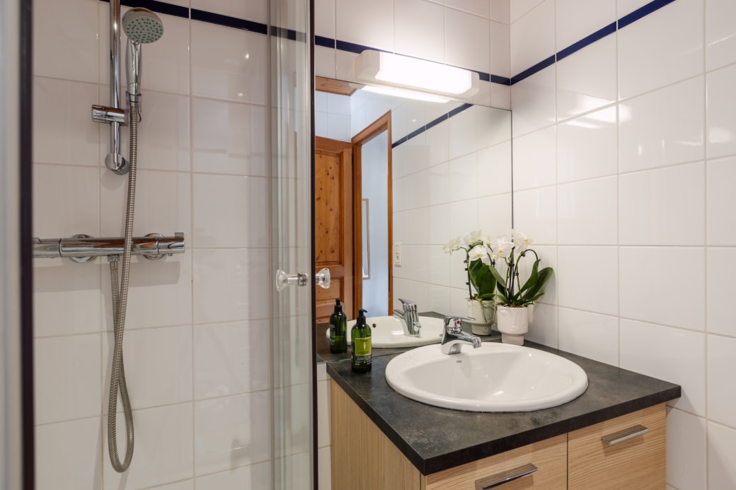 Negritelles ensuite bathroom