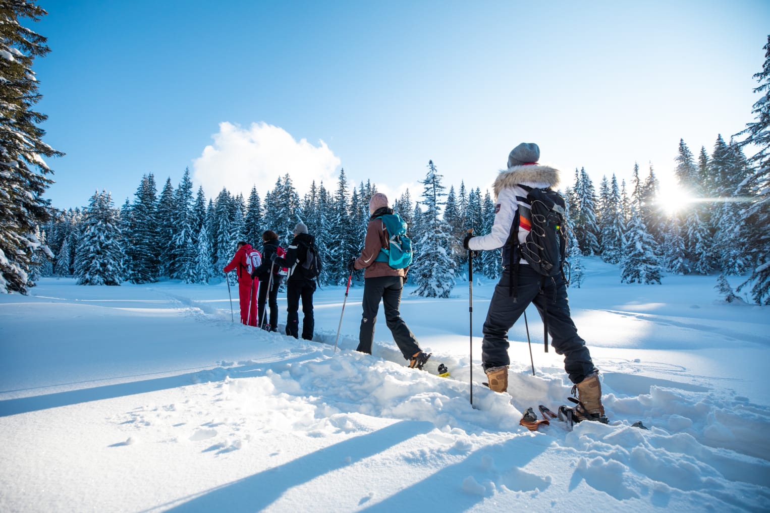 Snowshoes touring in Les Gets Ski Resort