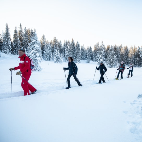 Snow Shoes touring in Les Get