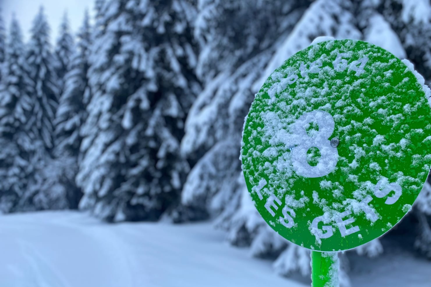 Green slope in Les Gets Ski Resort