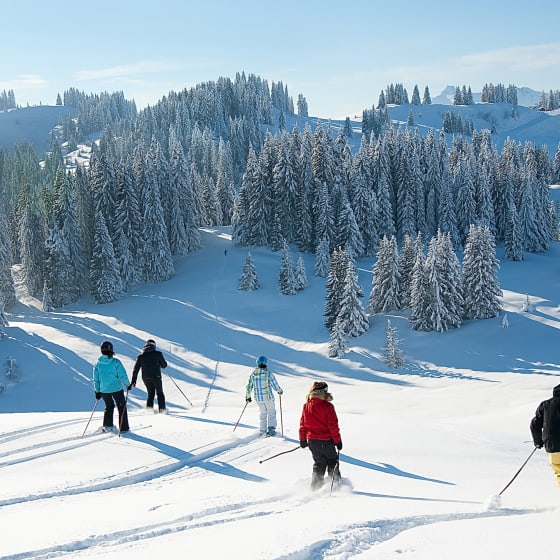 Group on ski lessons in Les Gets