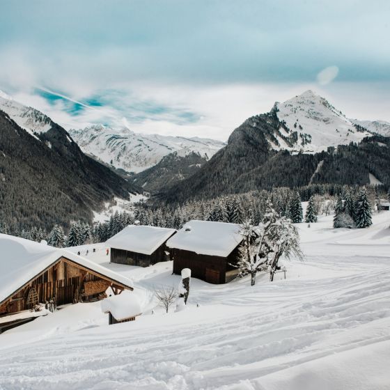 Saalbach Hinterglemm skiing