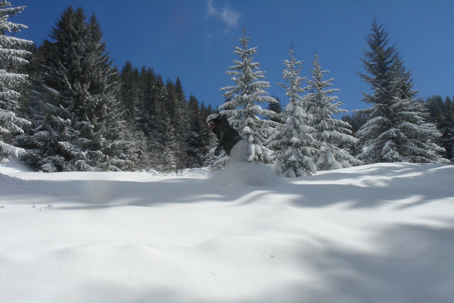 Solo Snowboarder among the snowy trees