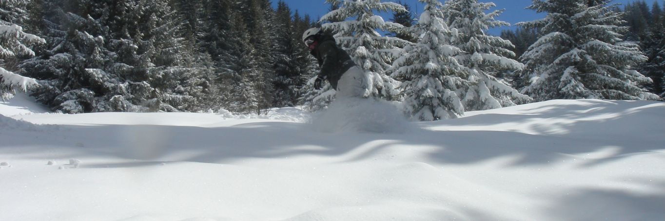 A single snowboarder enjoying a run among the snow covered trees